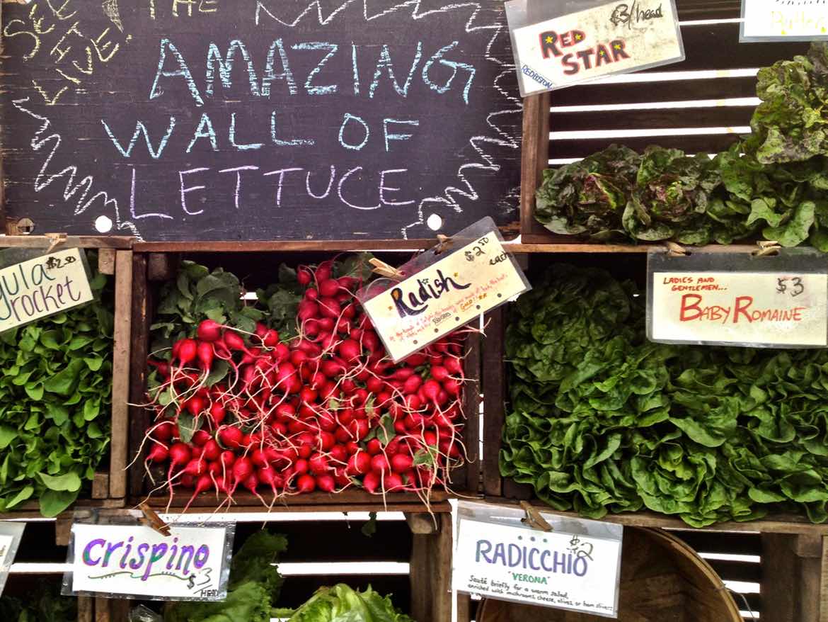 Amazing Wall of Lettuce
